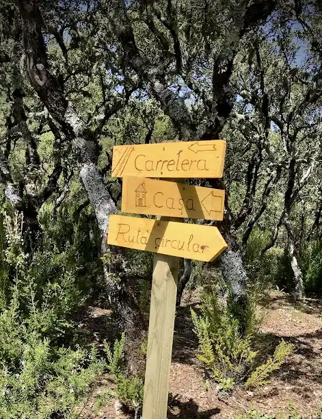 Vista exterior de Casa o chalet en venta en Los Navalucillos con Aire acondicionado, Calefacción y Jardín privado