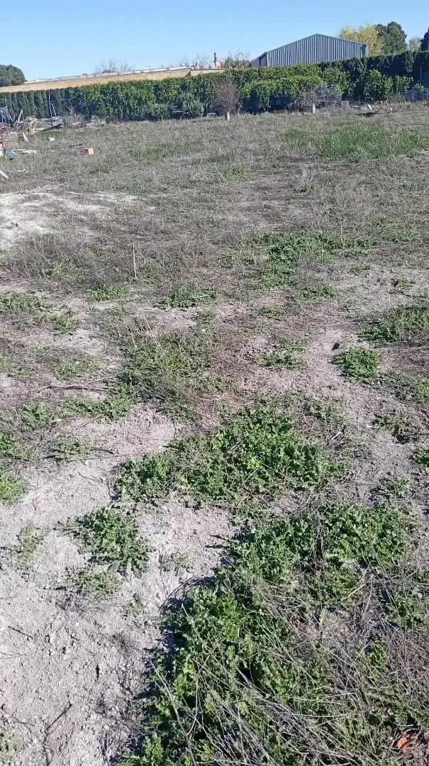 Terreno rustico in vendita a Pedanías - Extrarradio, imagen 6