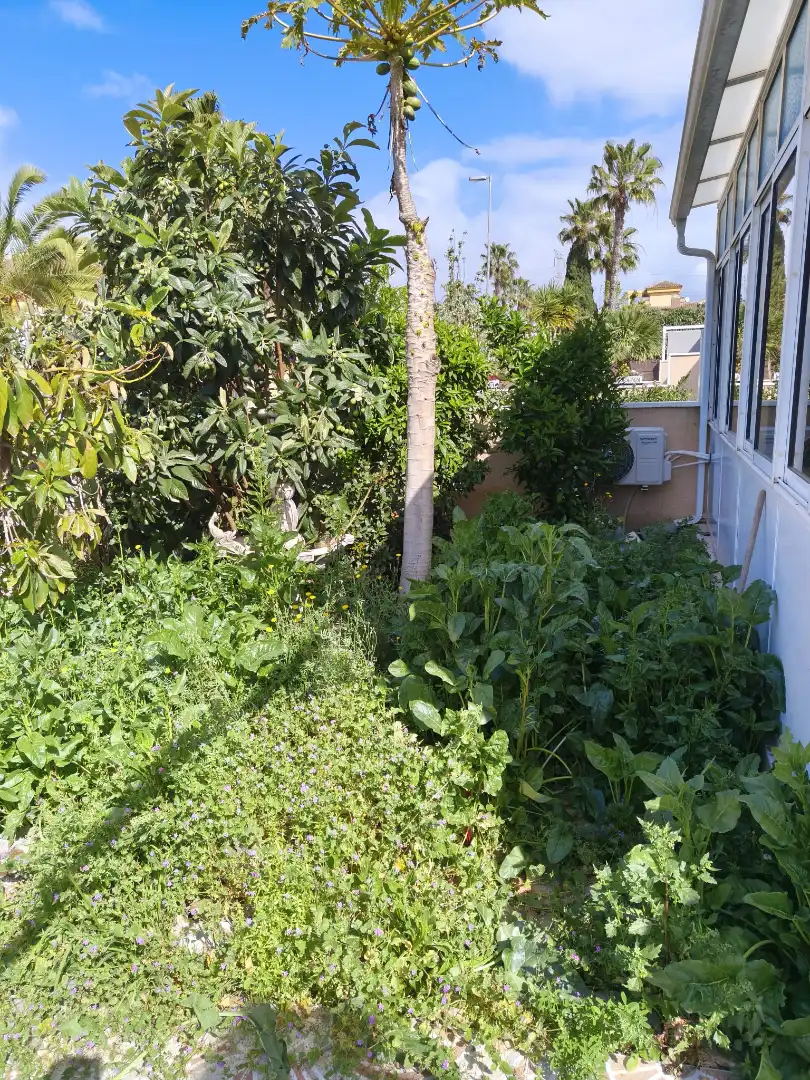 Garden of Houses for sale in Benferri  with Air Conditioner, Private garden and Terrace