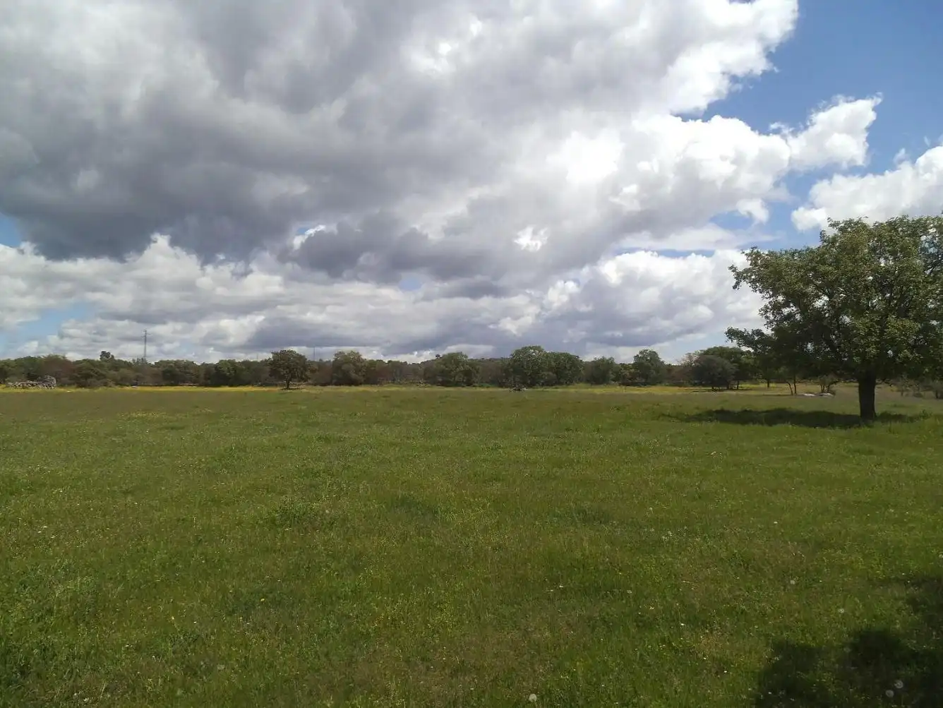 Residencial en venda en Valdemorillo