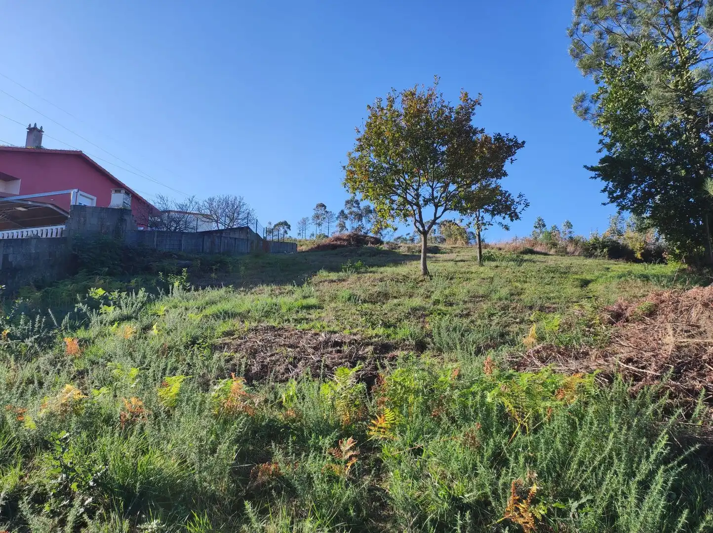 Rural land for sale in Calle Ponte, imagen 22