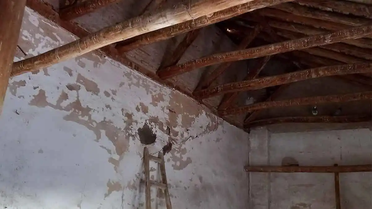 Geschaftsraum zum Verkauf in Pinos Puente