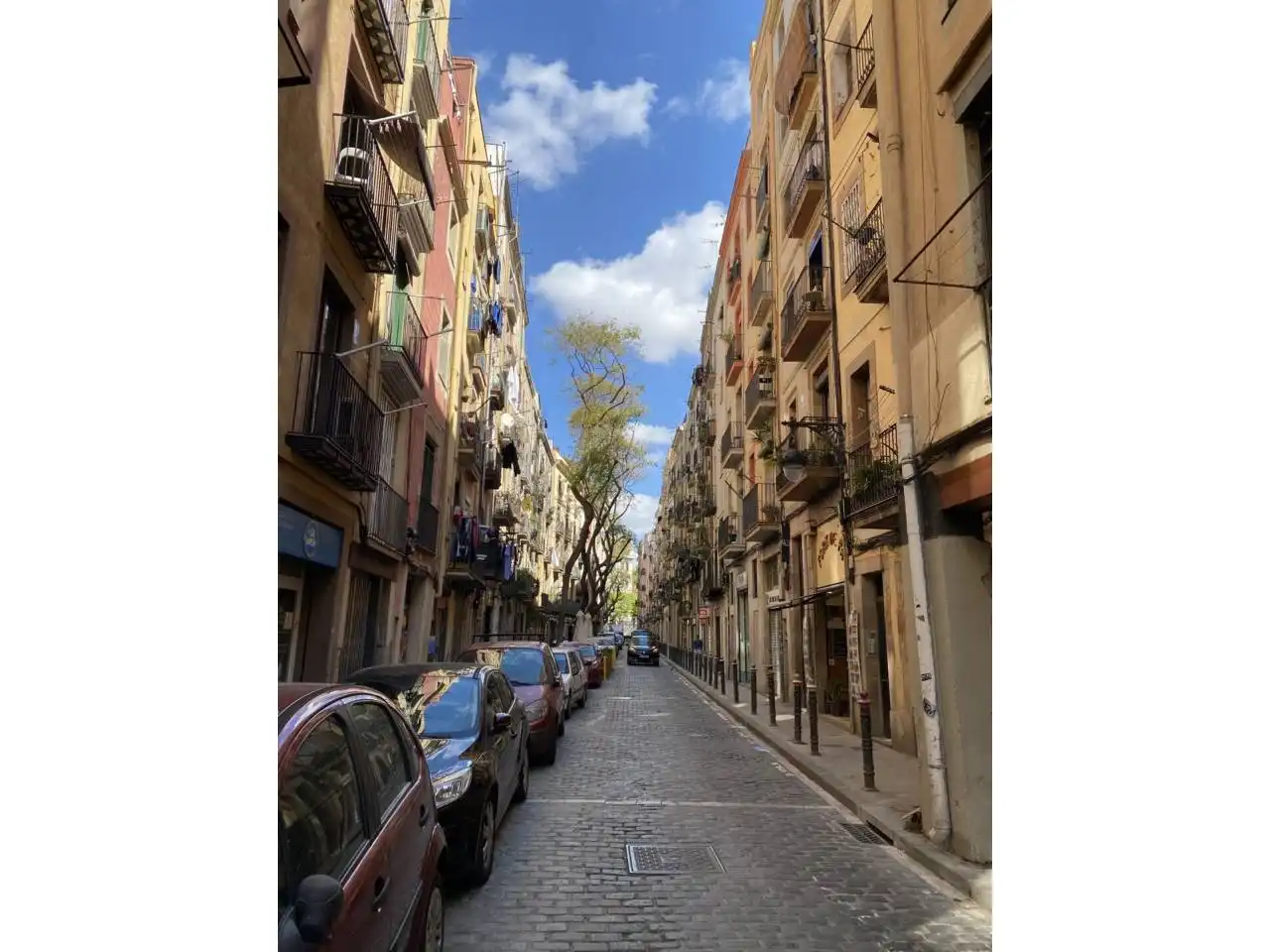 Business premises for sale in Calle portal nou, imagen 41