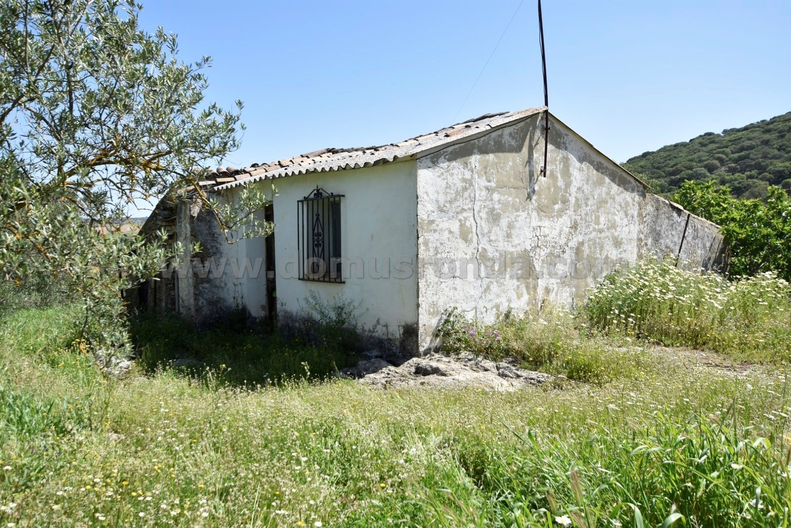 Finca rústica en venta en Ronda