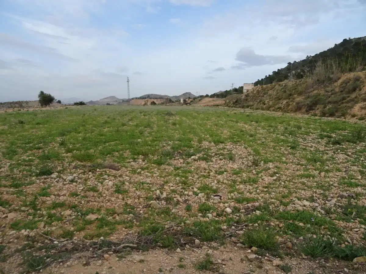 Finca rústica en venda en Hondón de las Nieves / El Fondó de les Neus