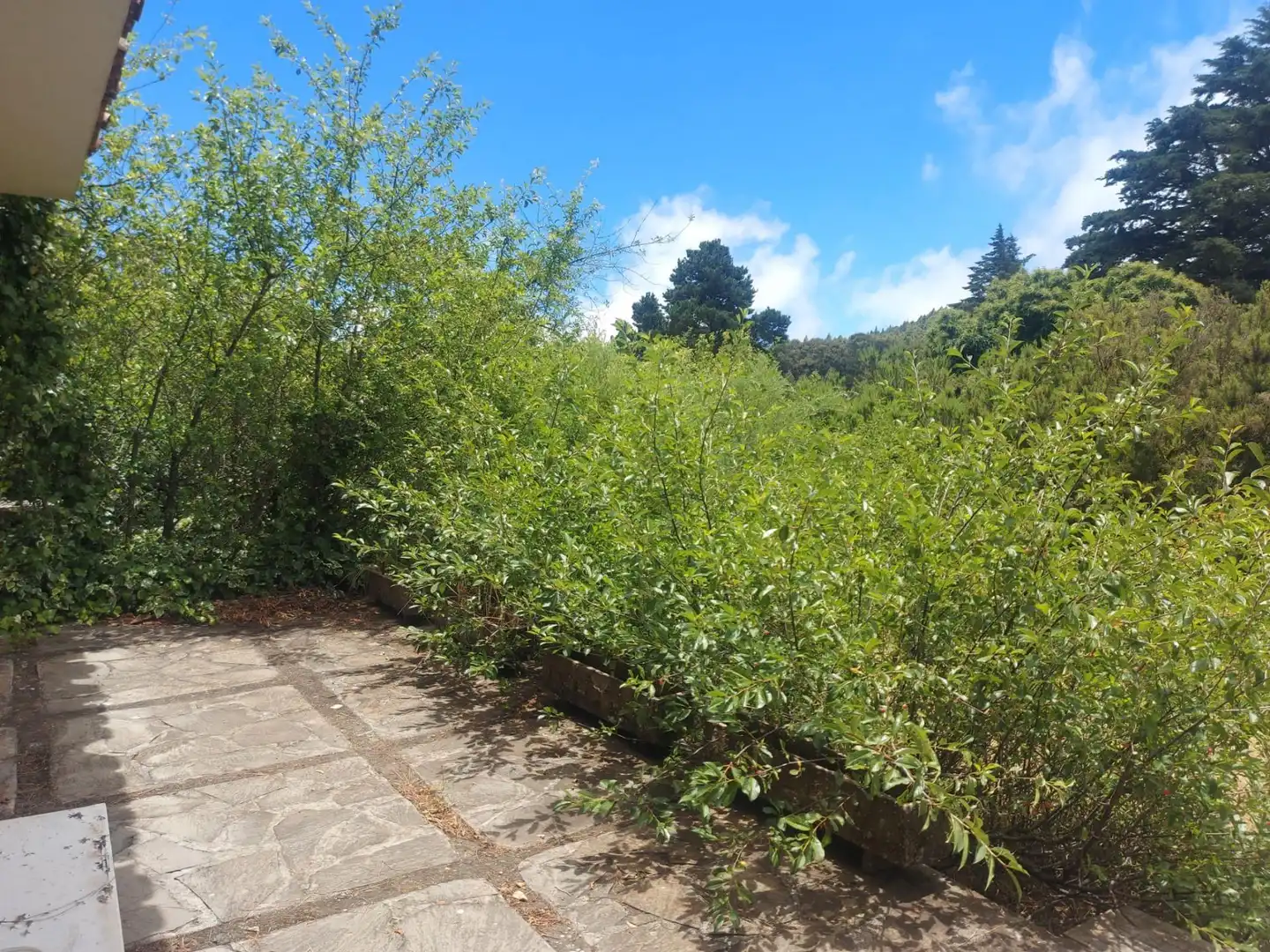 Garden of Country homes for sale in El Sauzal  with Heating, Private garden and Terrace