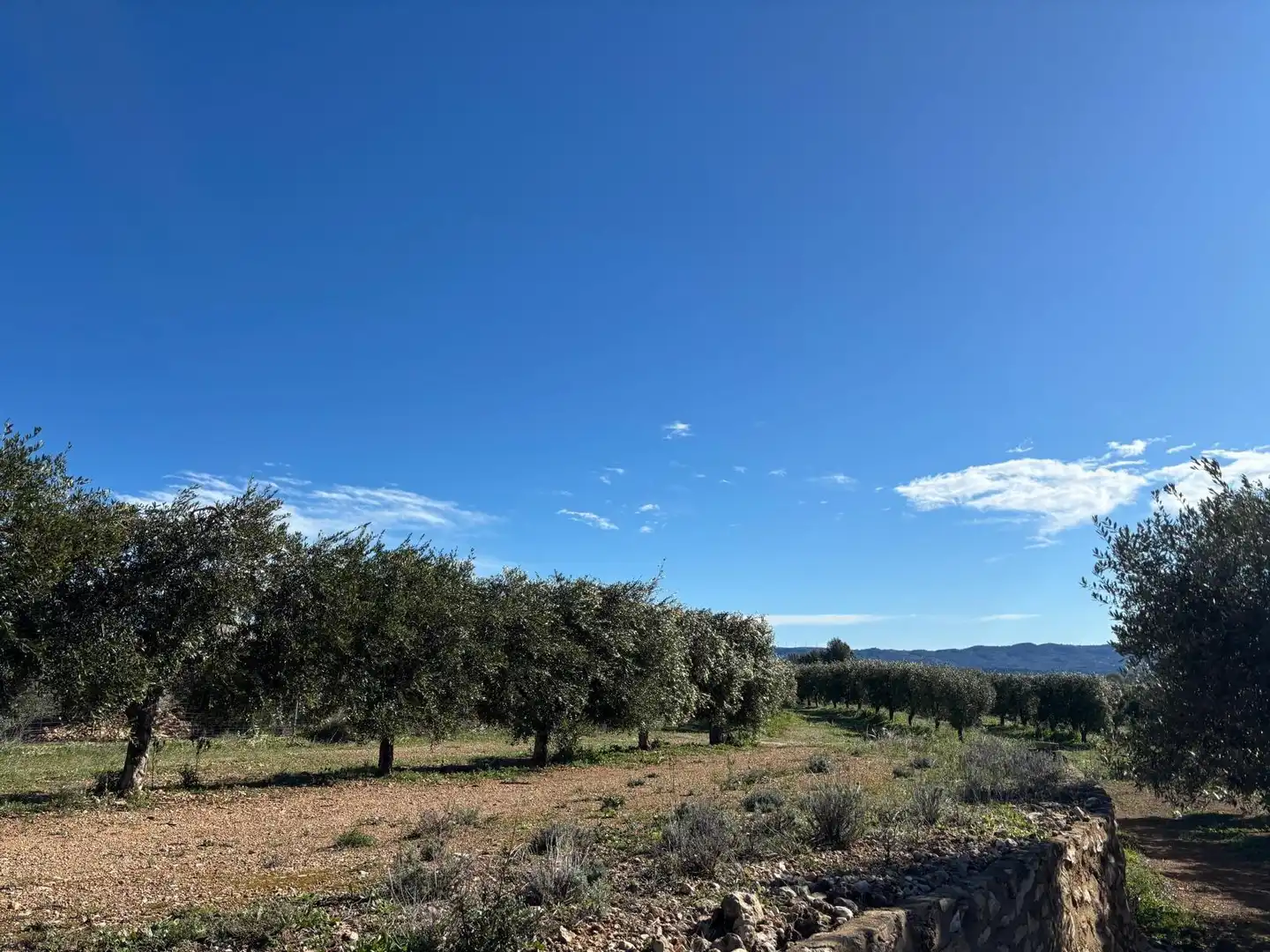 Terrain rustique à vendre à Aldover, imagen 17