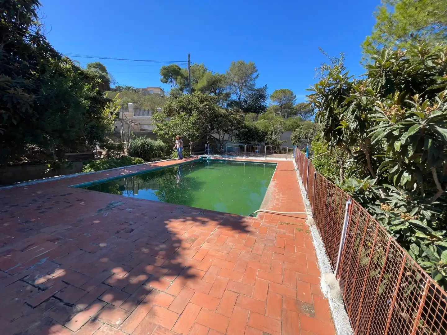 Piscina de Casa o chalet en venta en Alzira con Jardín privado, Terraza y Trastero