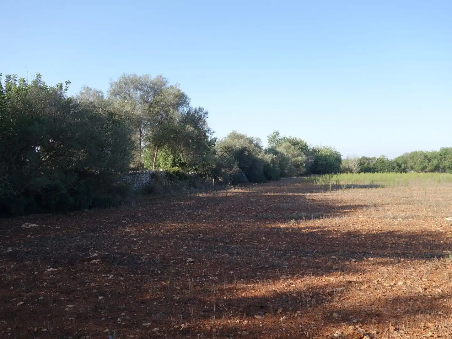 Residential land for sale in Felanitx Poble, imagen 12