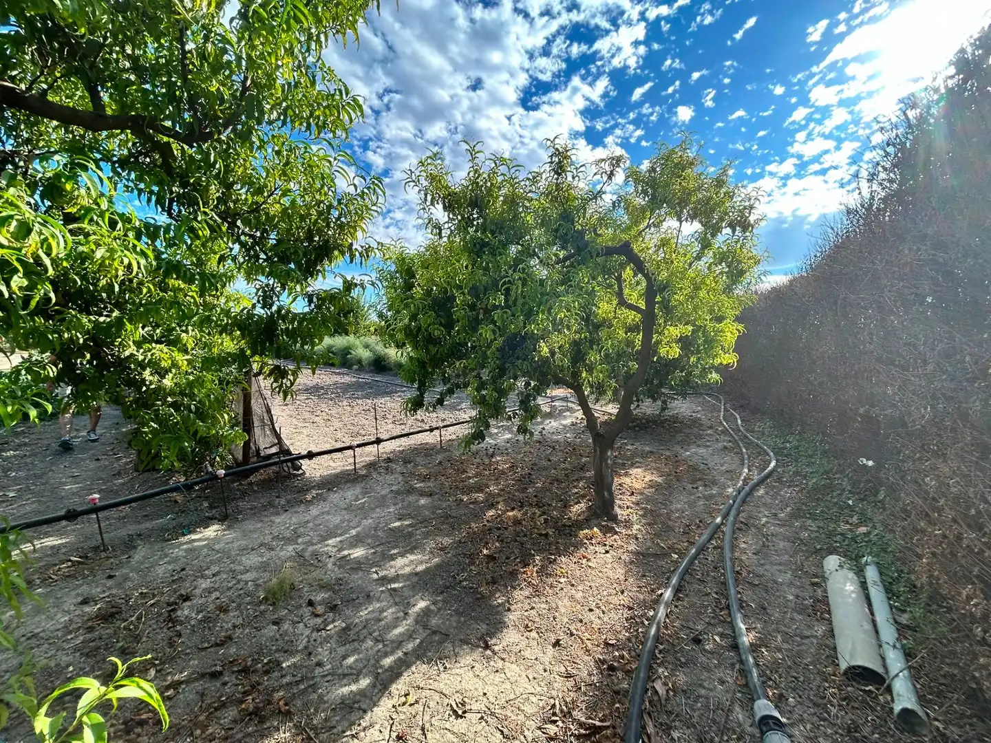 Terrains et parcelles à vendre à Fuente Vaqueros, imagen 10
