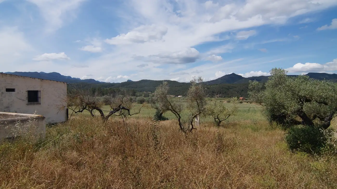 Terreno en venta en Ginestar