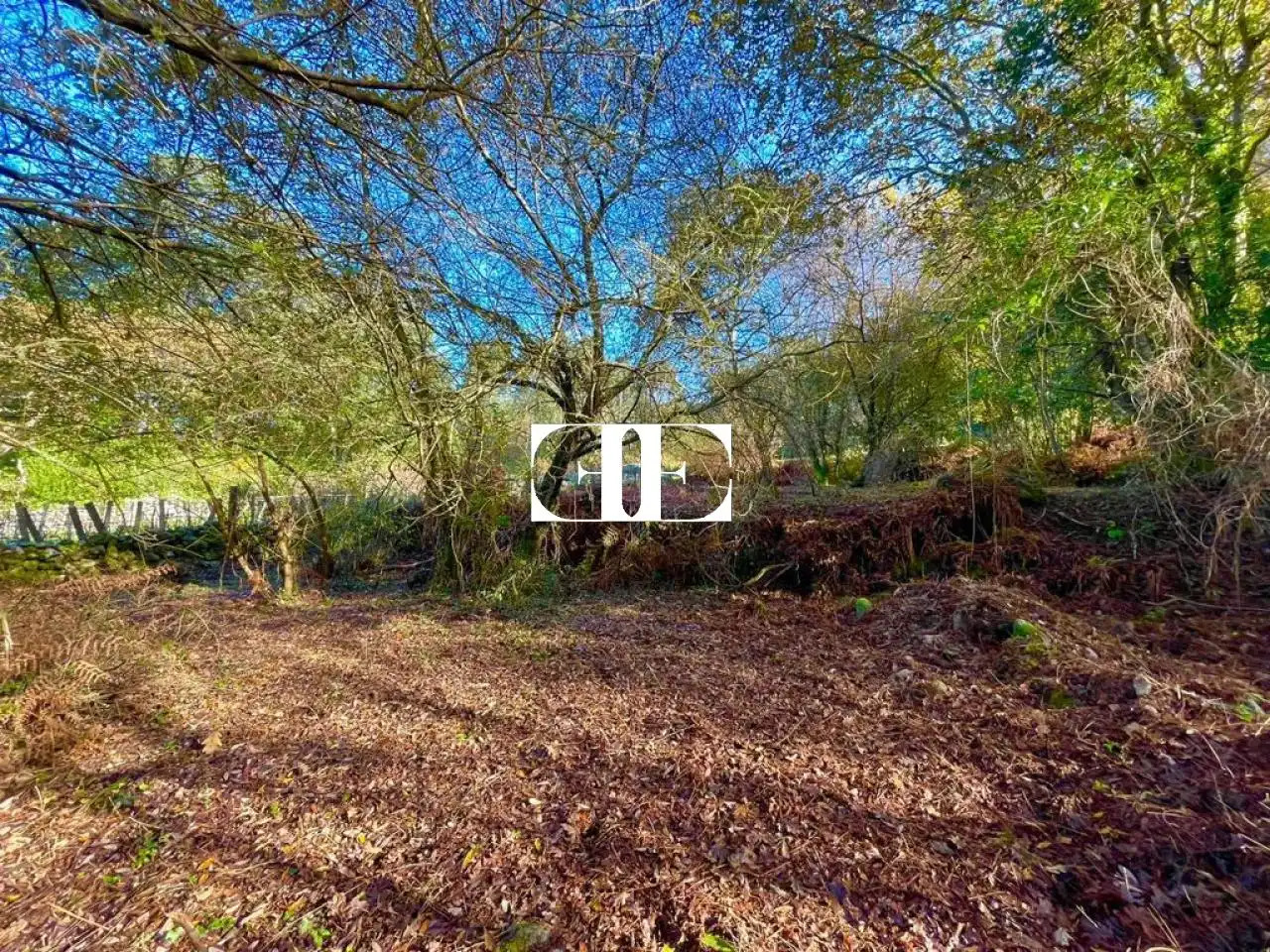 Terreno rustico in vendita a Poligono 15 Parcela 363 Jardin Oia, imagen 16