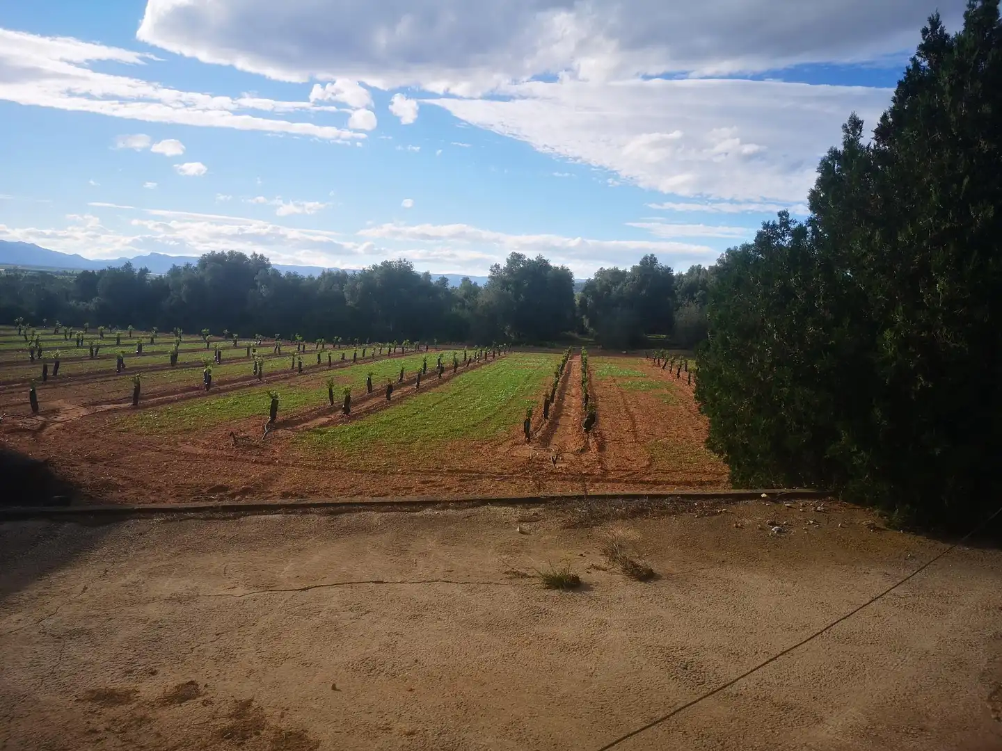 Terreno residenziale in vendita a Ulldecona, imagen 12