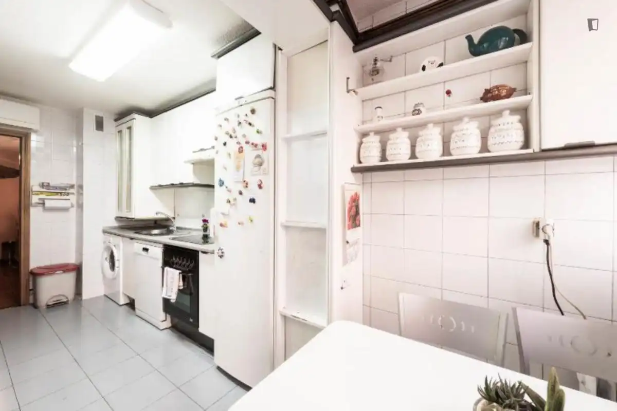 Kitchen of Apartments for rent in Madrid  with Air Conditioner, Heating and Furnished