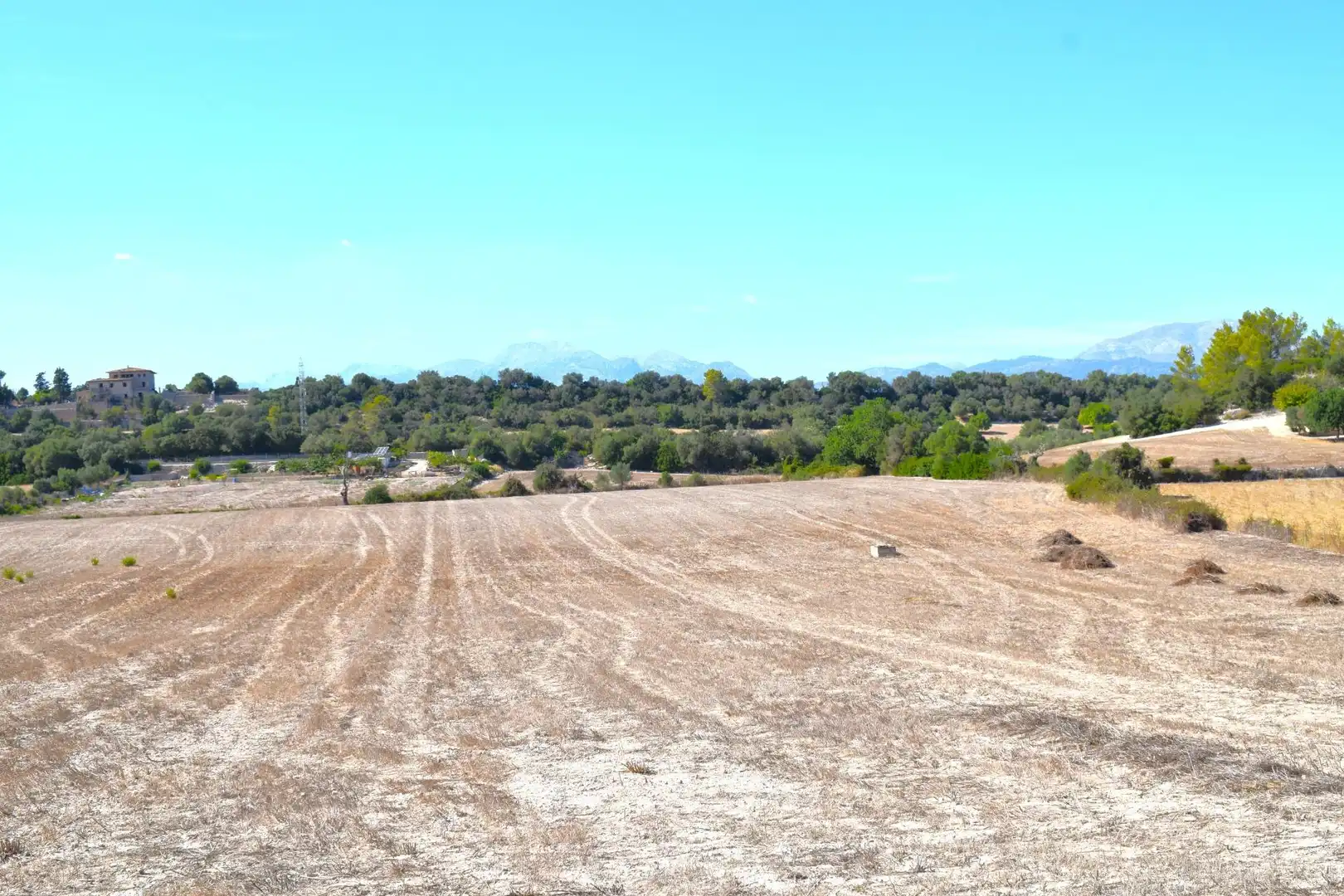 Terreny residencial en venda a Llubí