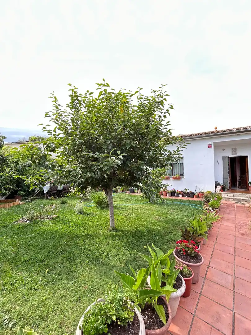 Jardín de Casa o chalet en venta en Vilobí d'Onyar con Aire acondicionado, Calefacción y Jardín privado