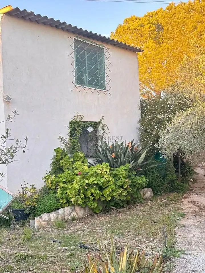 Vista exterior de Finca rústica en venta en Amposta con Piscina