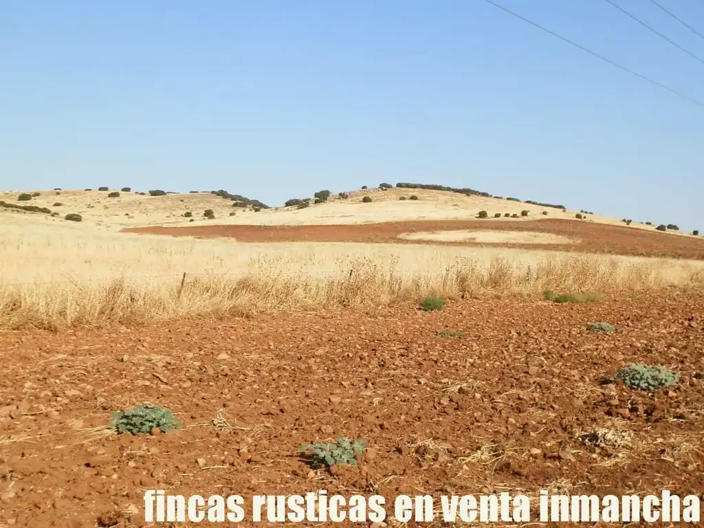 Terrenys i solars en venda a Almagro, imagen 6