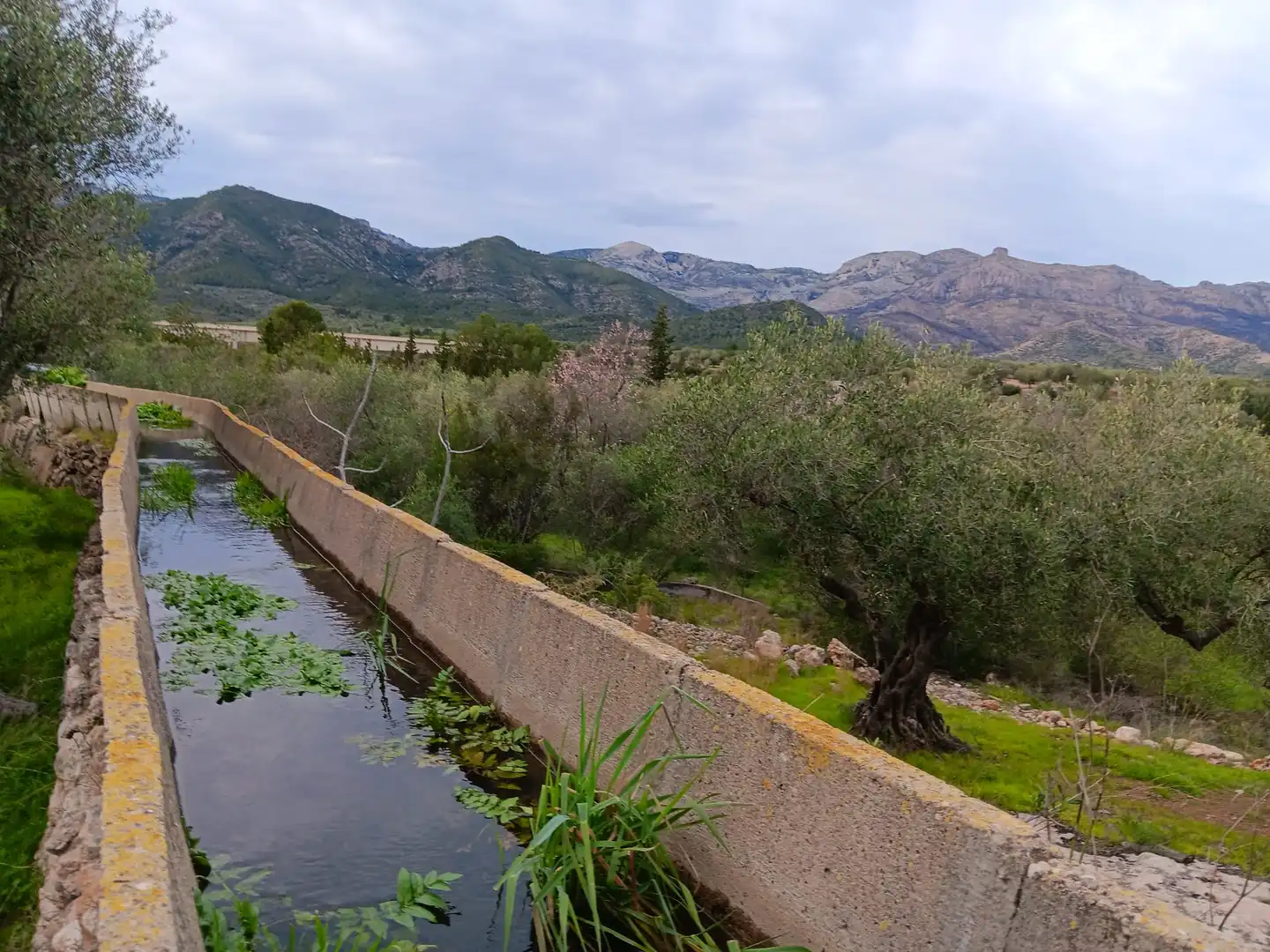 Vista exterior de Casa o chalet en venta en Tortosa