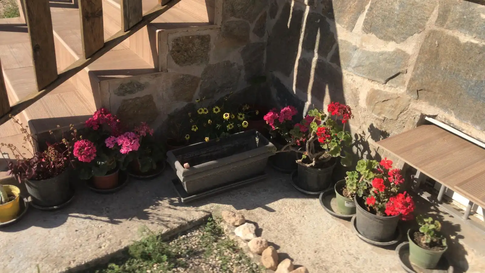 Terrassa de Finca rústica en venda en Pliego amb Jardí privat, Terrassa i Traster