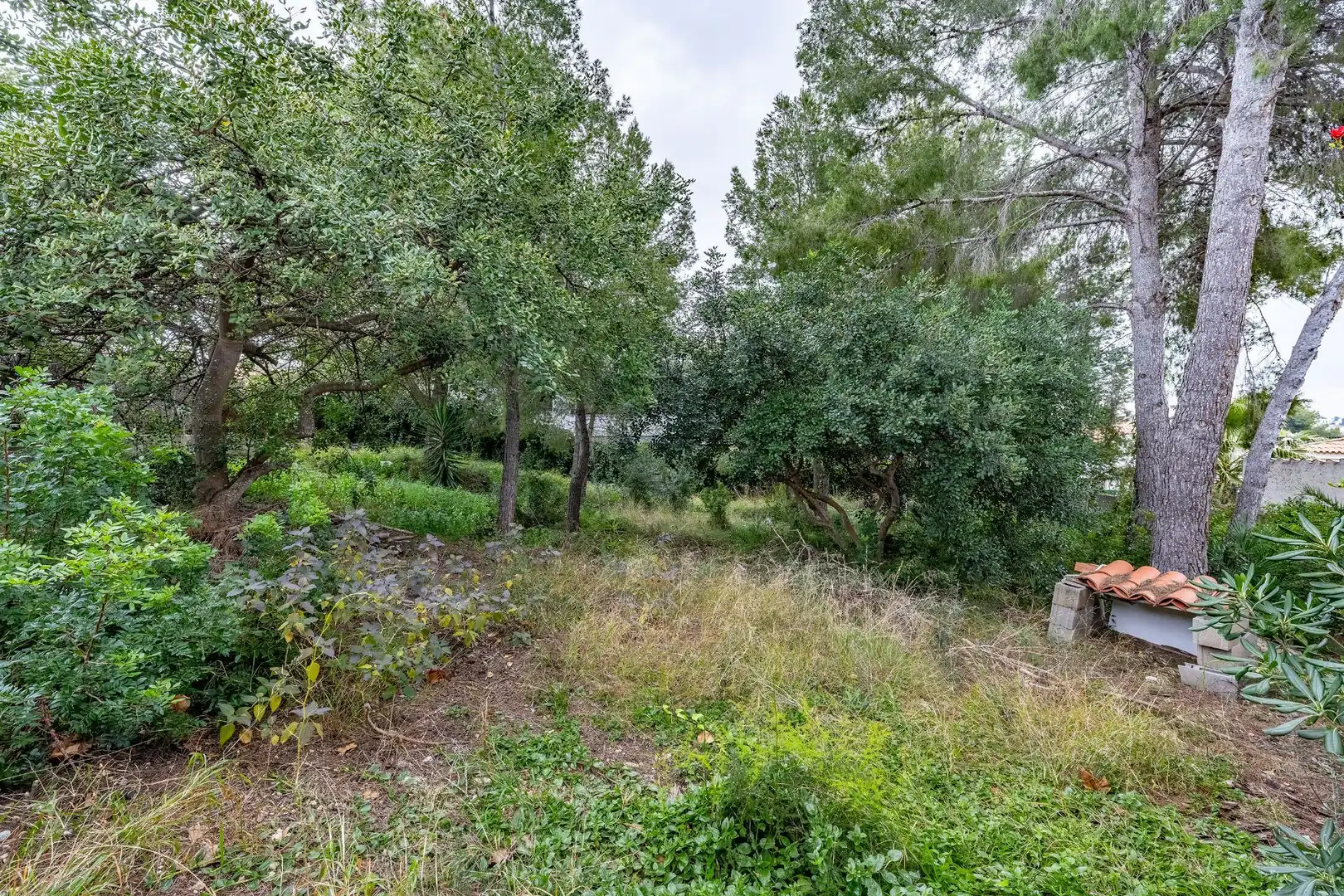 Terrenos y solares en venta en MEDITERRANEO, imagen 22