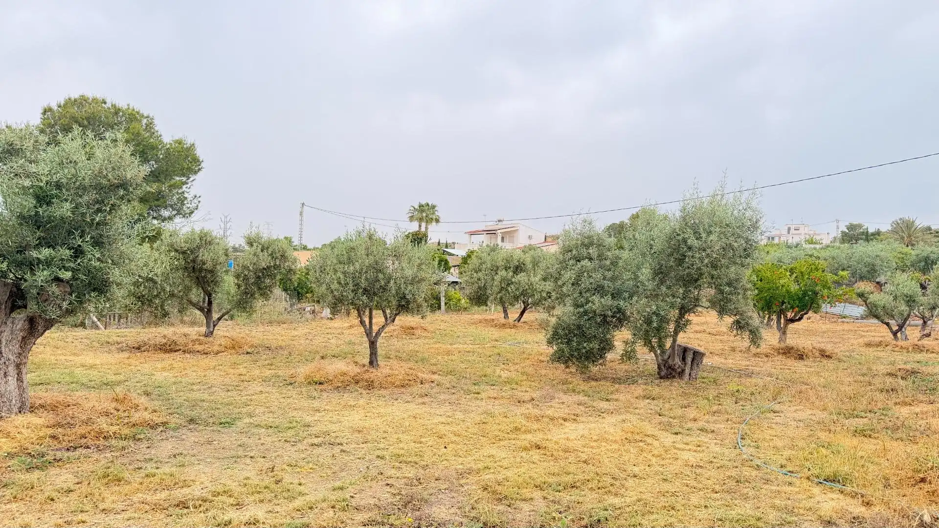 Houses for sale in Elche / Elx  with Heating, Private garden and Storage room