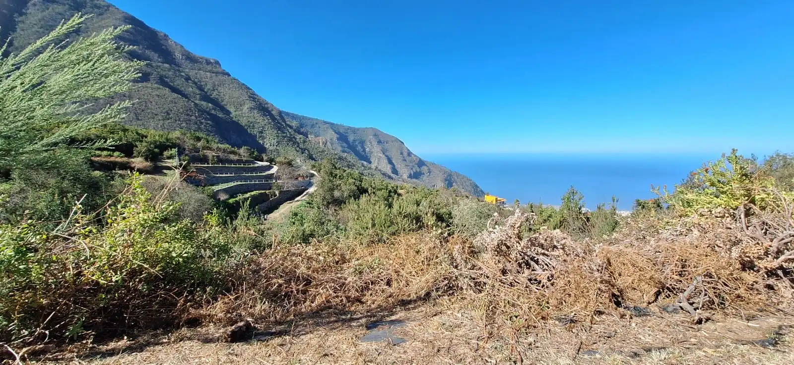 Vista exterior de Finca rústica en venta en Los Realejos con Jardín privado y Terraza