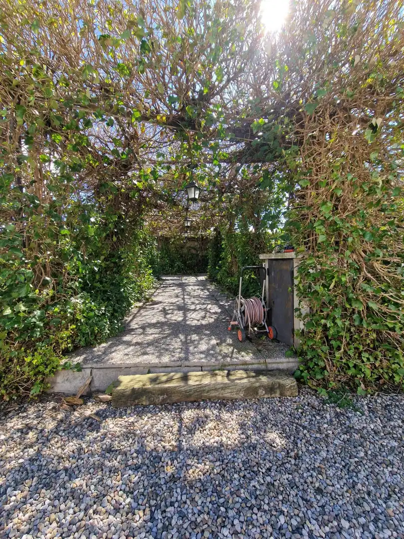 Garten von Country house zum Verkauf in Mollerussa mit Klimaanlage, Heizung und Privatgarten