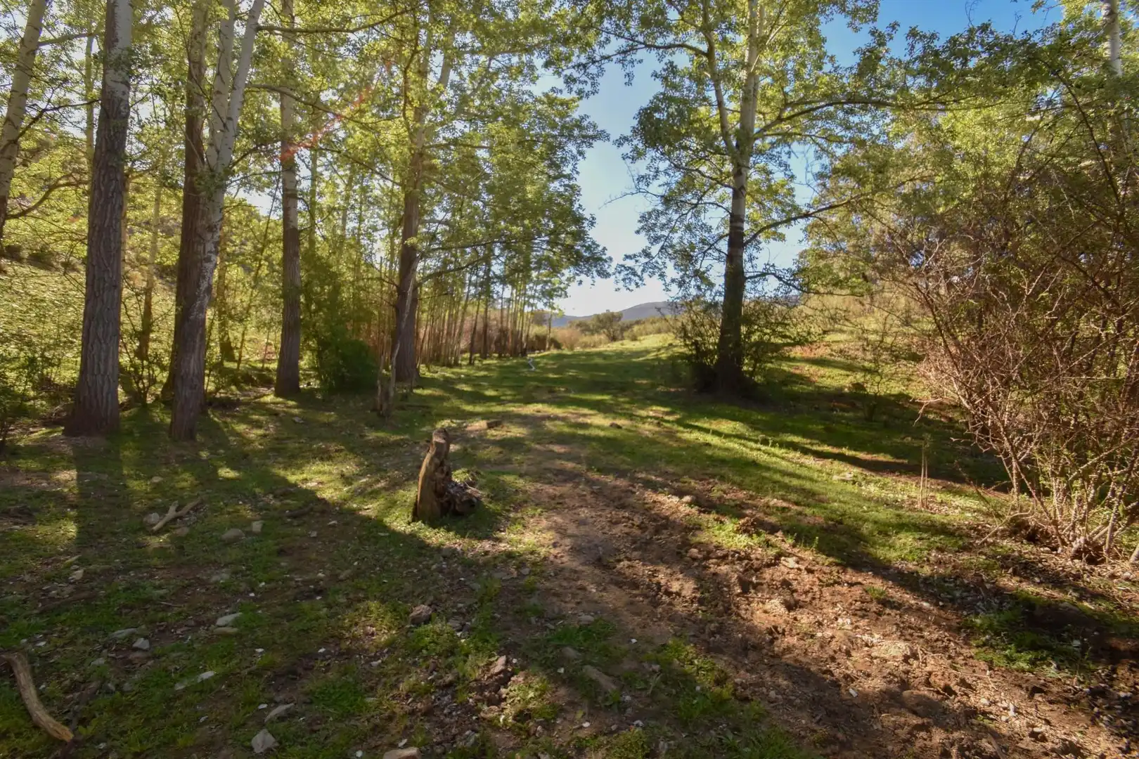 Terreno en venta en Paraje de las Perdices, Lugros