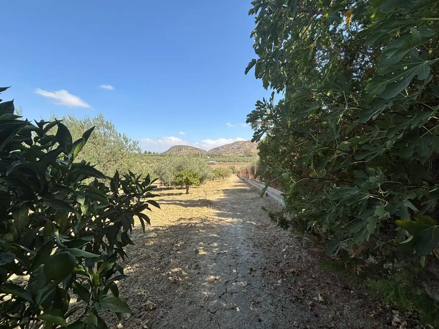 Casa rústica amb piscina en venda a Camino de Los Javieles, imagen 37
