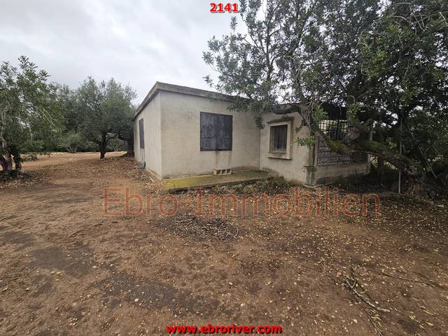 Finca rústica en Venta en Jesús - Els Reguers