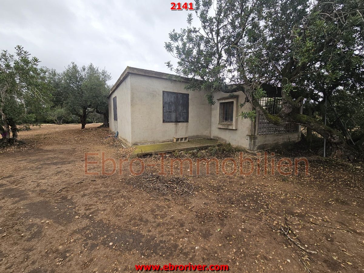 Country house zum verkauf in Jesús - Els Reguers, Tortosa