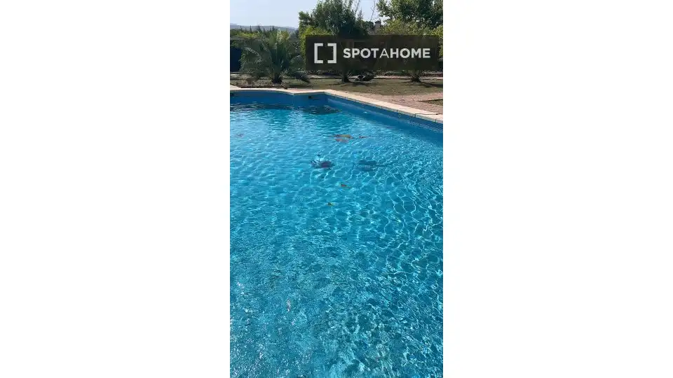 Piscina de Apartamento para compartir en Alicante / Alacant con Aire acondicionado y Terraza