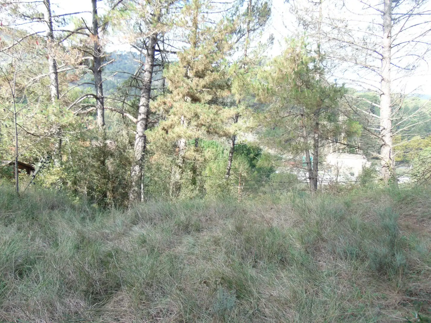 Terreny residencial en venda a obagá, imagen 10