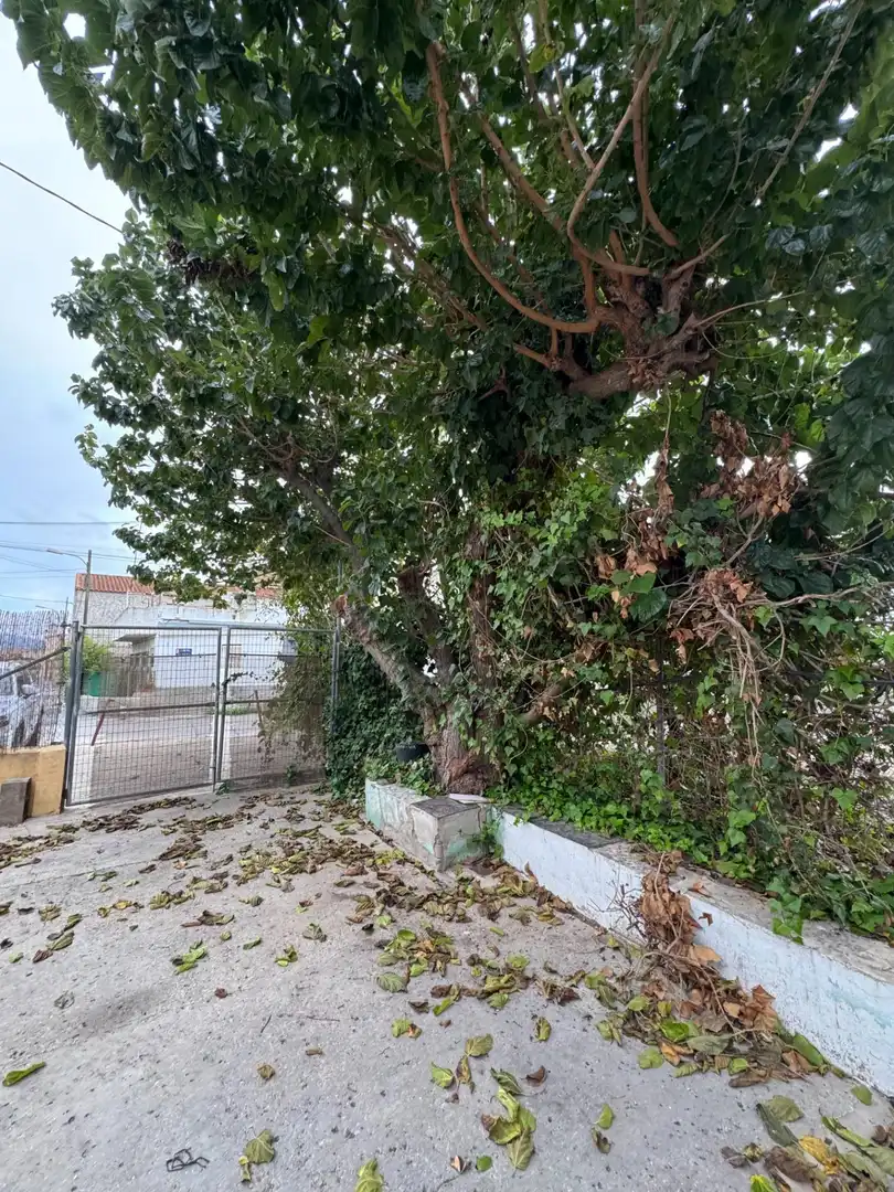 Vista exterior de Finca rústica en venta en Murcia