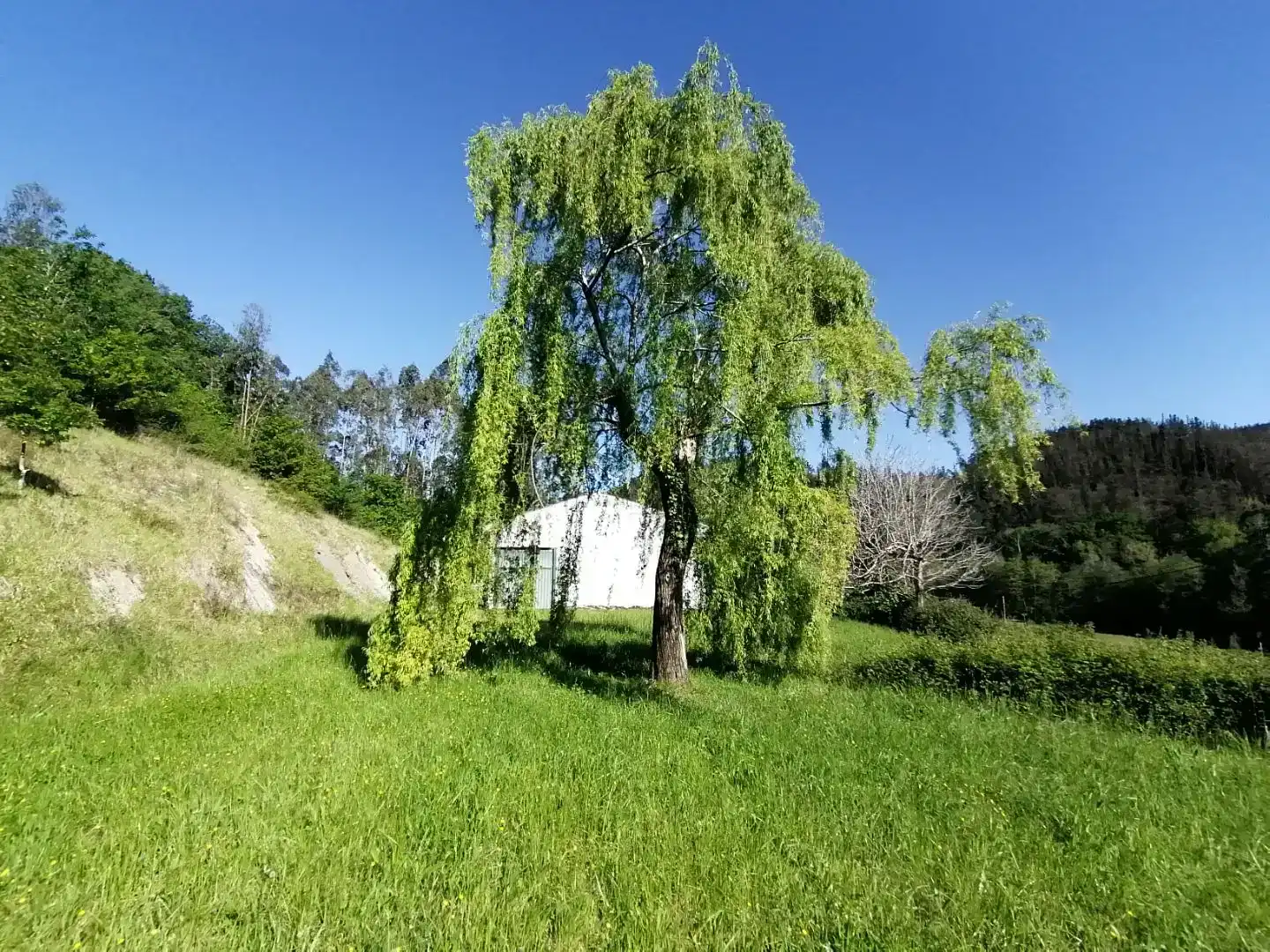 Casa o chalet en venta en Arrieta con Balcón