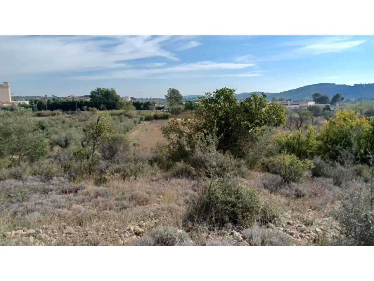Terrain rustique à vendre à Calle Poligono 22 parcela 415, imagen 6