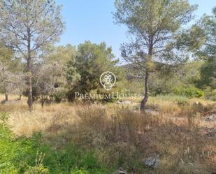 Land for sale in Sant Pere de Ribes