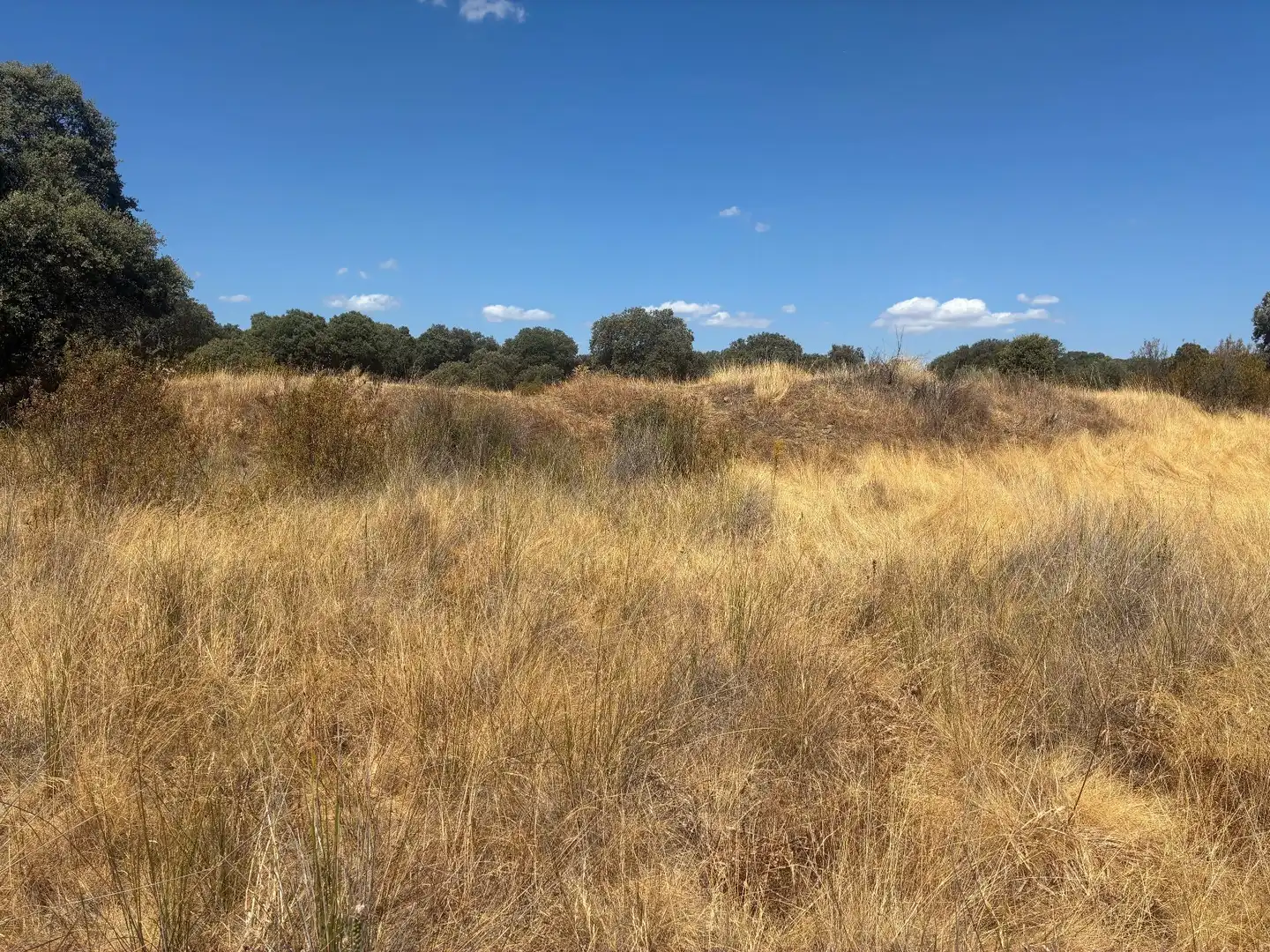 Terreno rustico in vendita a Mohedas de la Jara, imagen 19