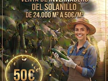 Terreno rustico in vendita a Plaza el Solanillo 14
