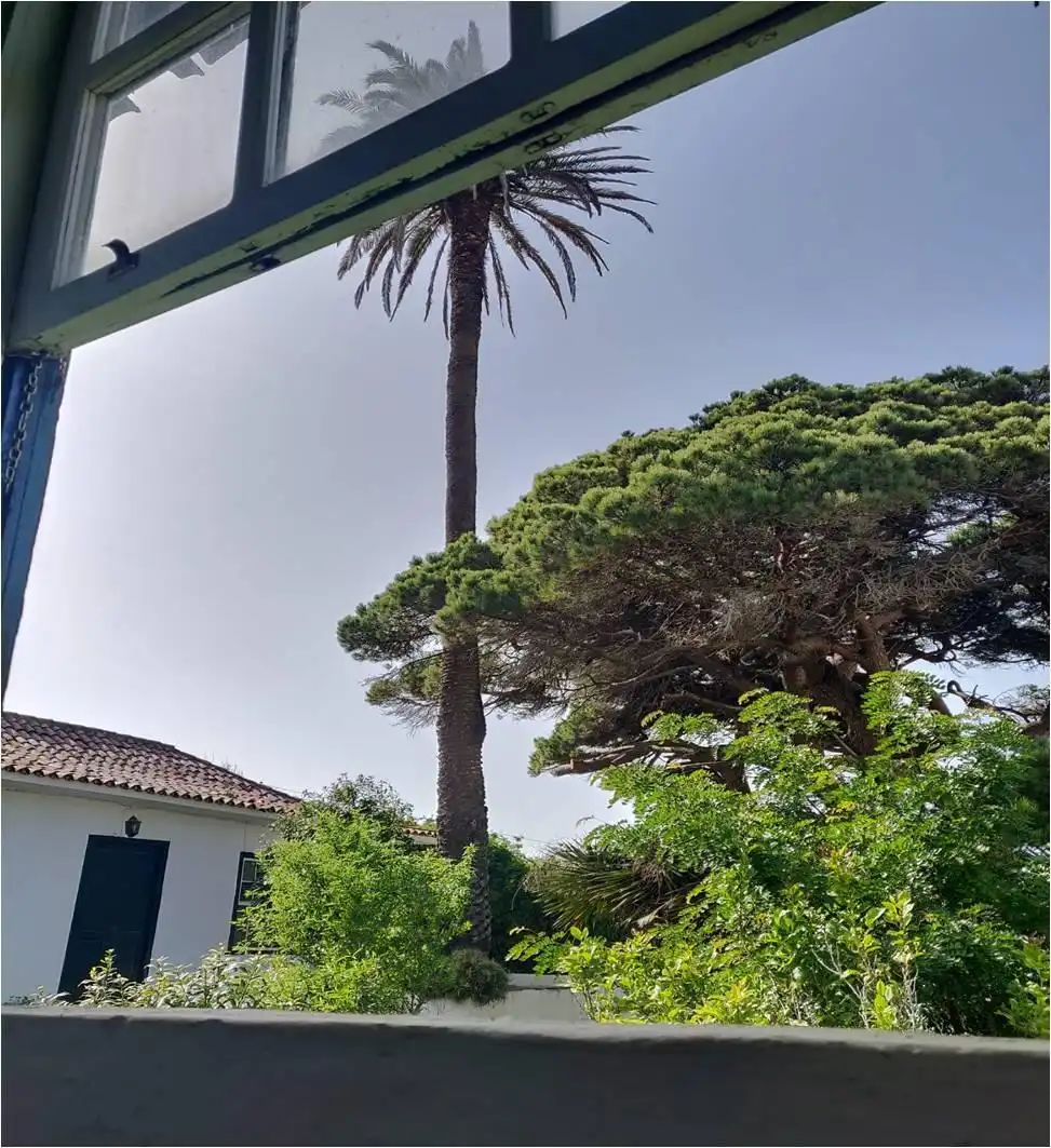 Jardí de Casa o xalet en venda en Tegueste amb Jardí privat, Terrassa i Balcó