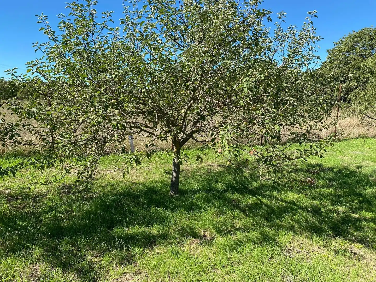 Terreno en venta en Escopete