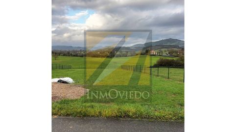 VENTA SOLEADA FINCA EN LLANERA, immagine 2