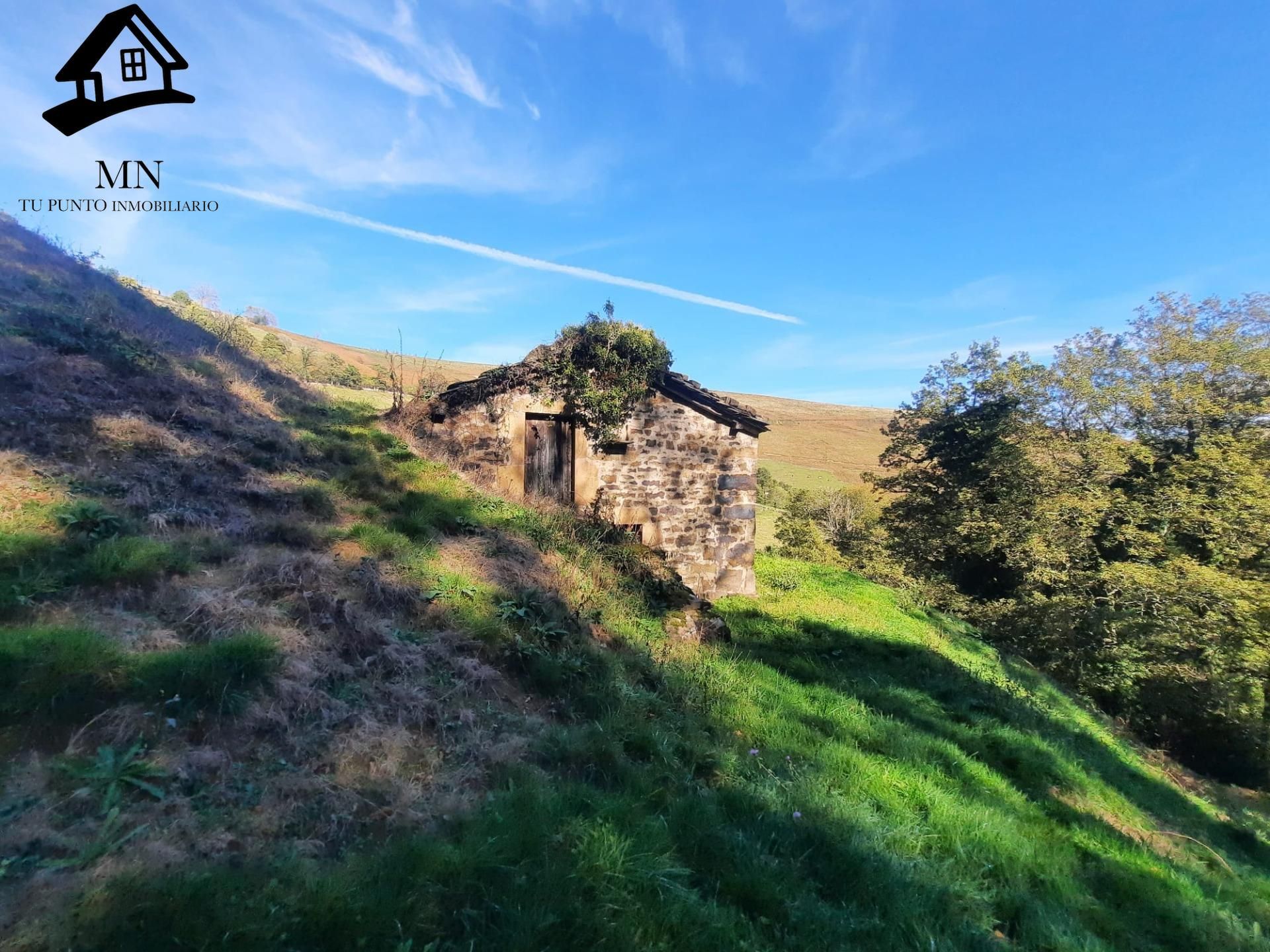 Vista exterior de Finca rústica en venda en Vega de Pas