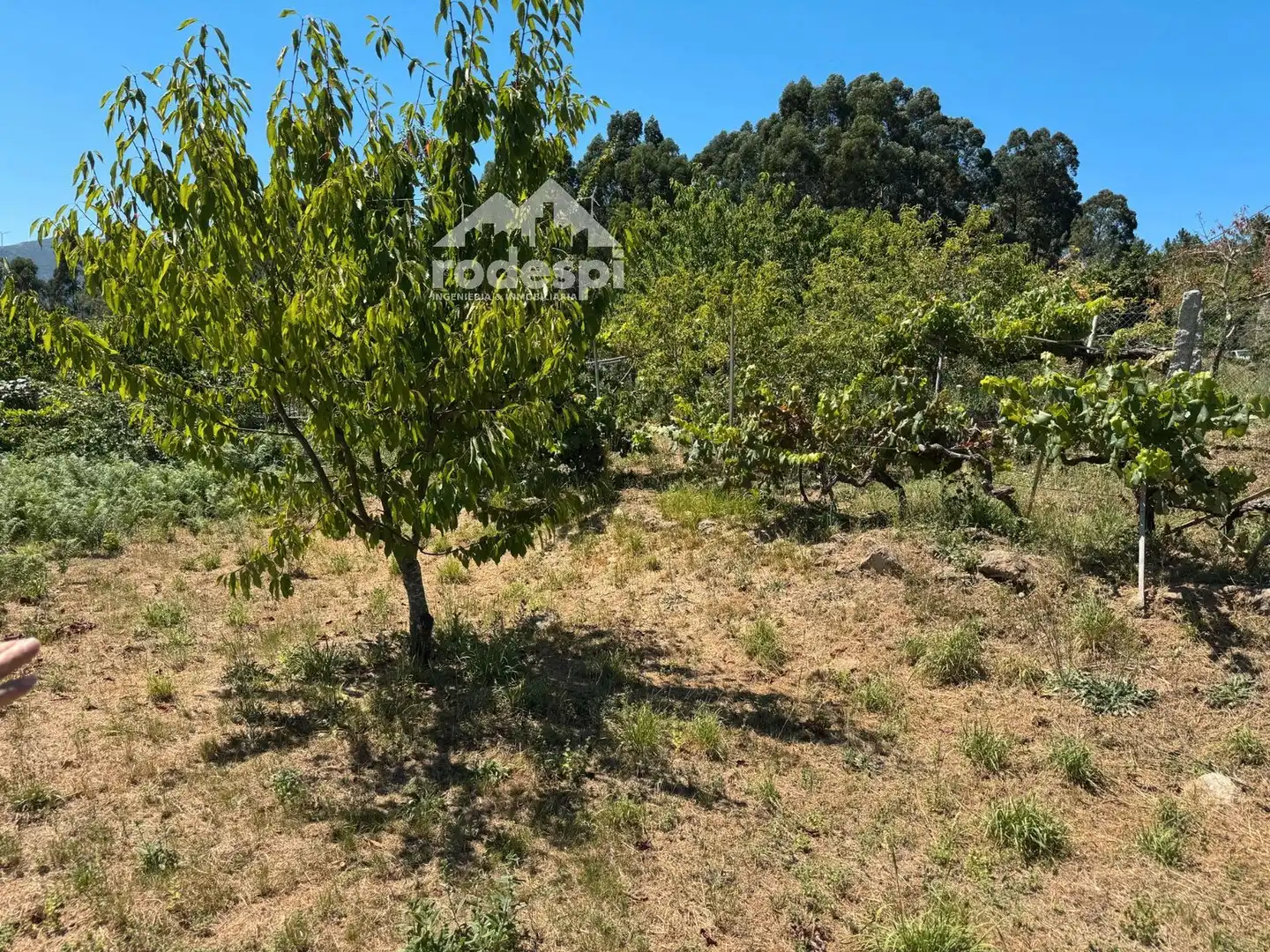 Maison à vendre à Crecente, imagen 12