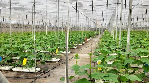 Foto 3 de Residencial en venda a Calahonda - Carchuna, Granada