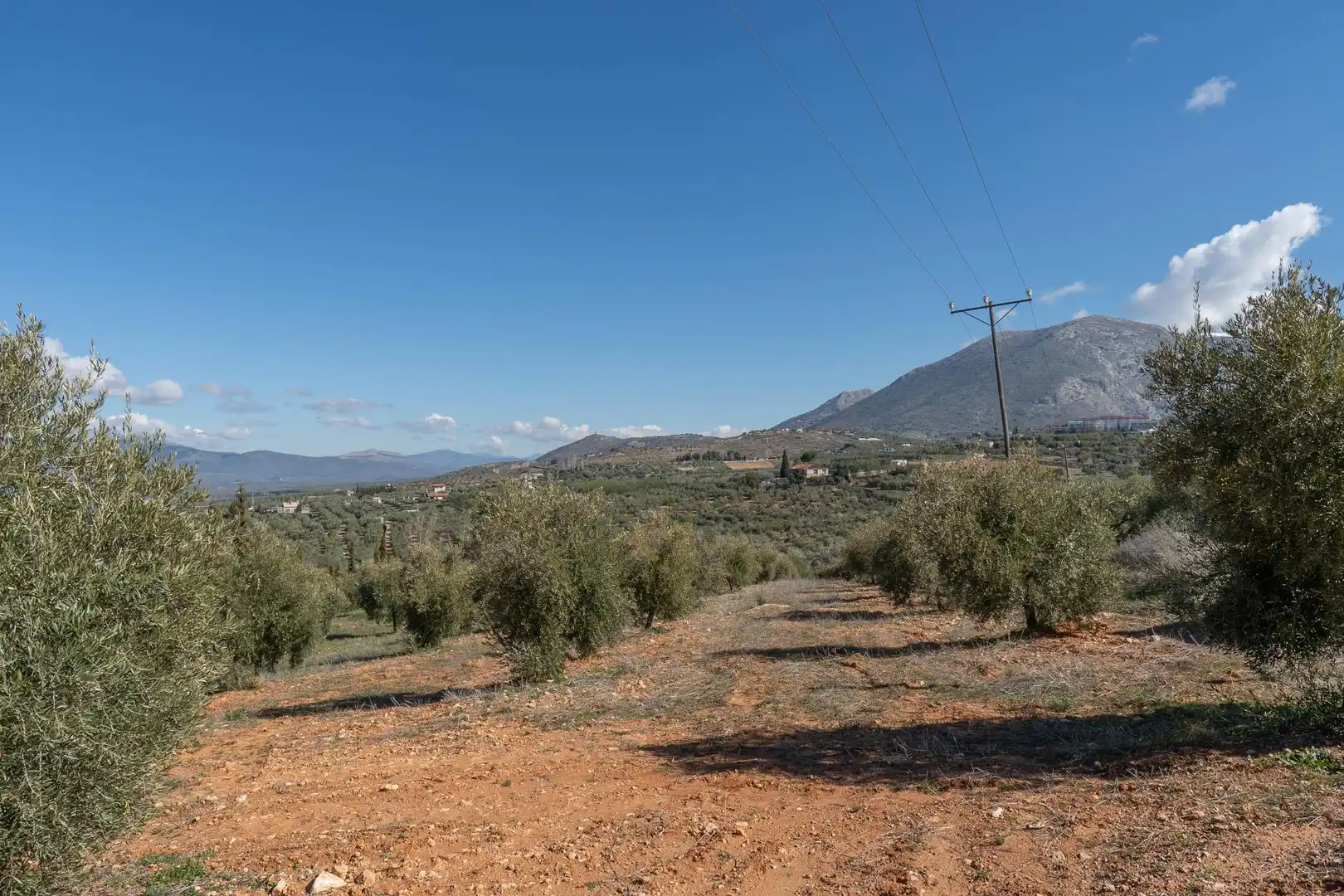 Terreni e lotti in vendita a Cogollos de la Vega, imagen 7