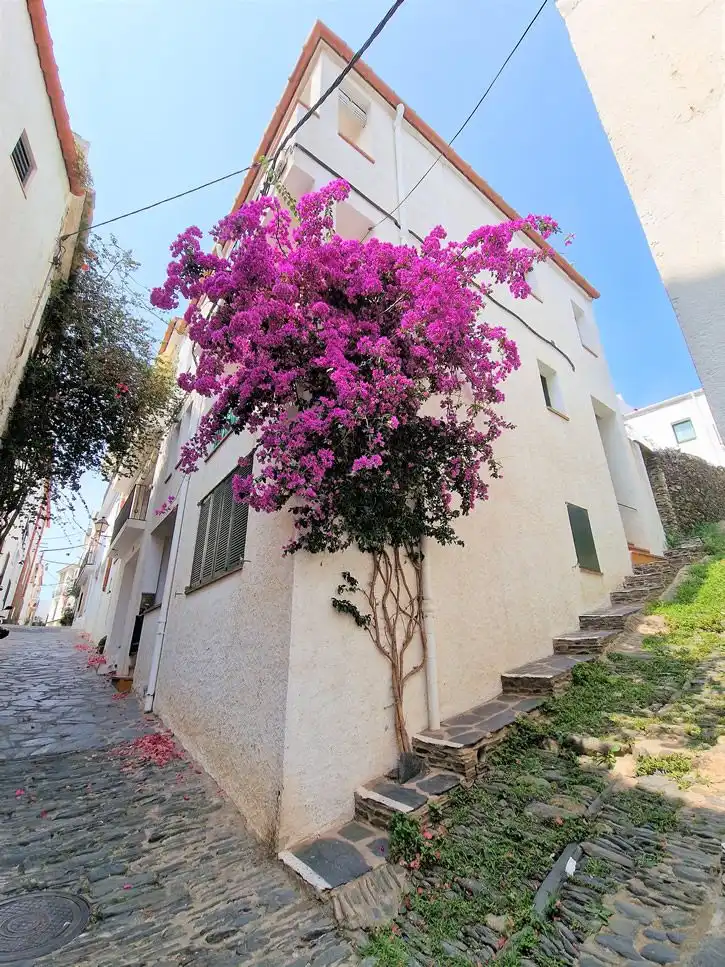 Vista exterior de Casa o chalet en venta en Cadaqués