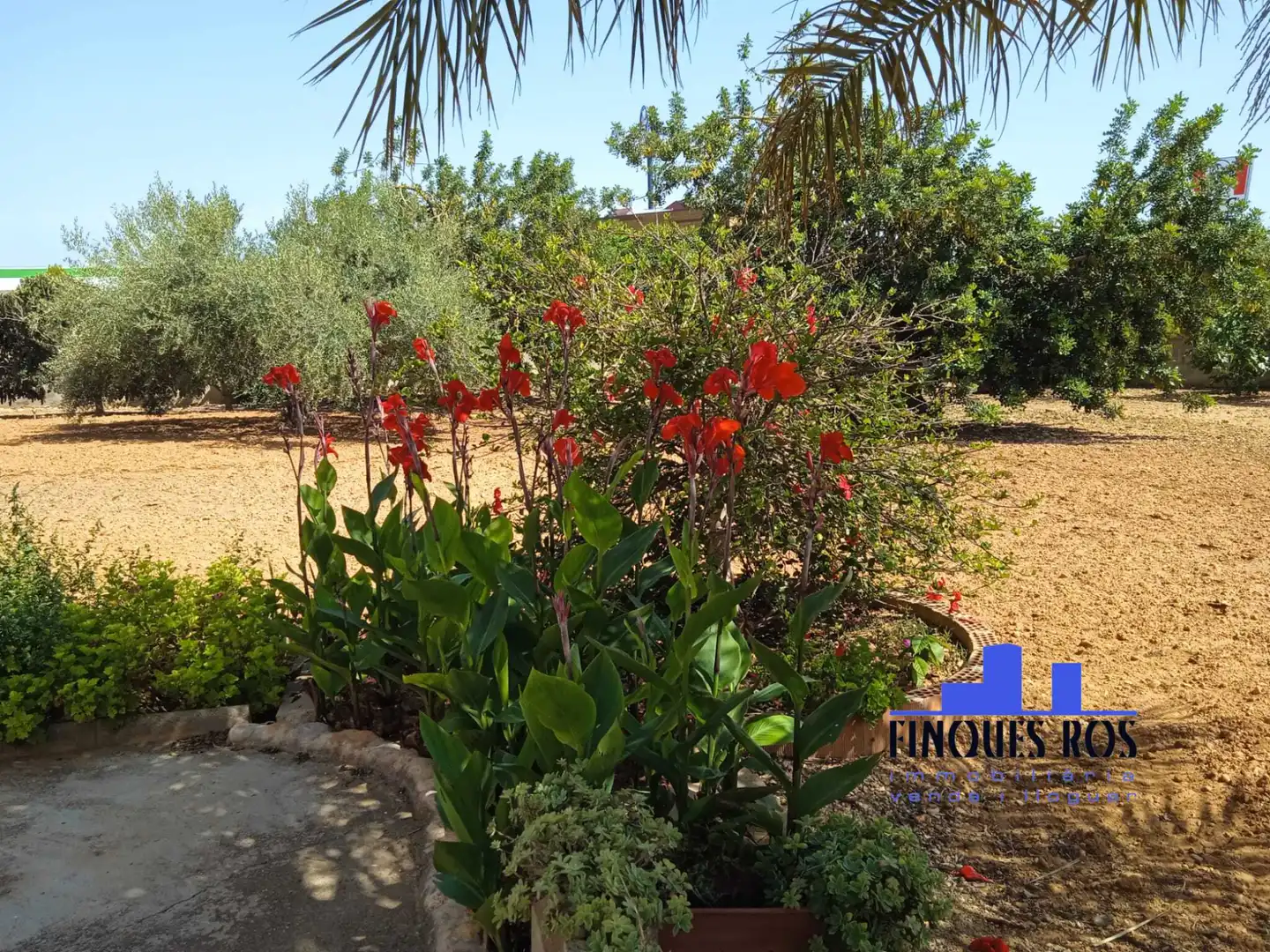 Jardí de Casa o xalet en venda en Vinaròs amb Calefacció, Jardí privat i Terrassa