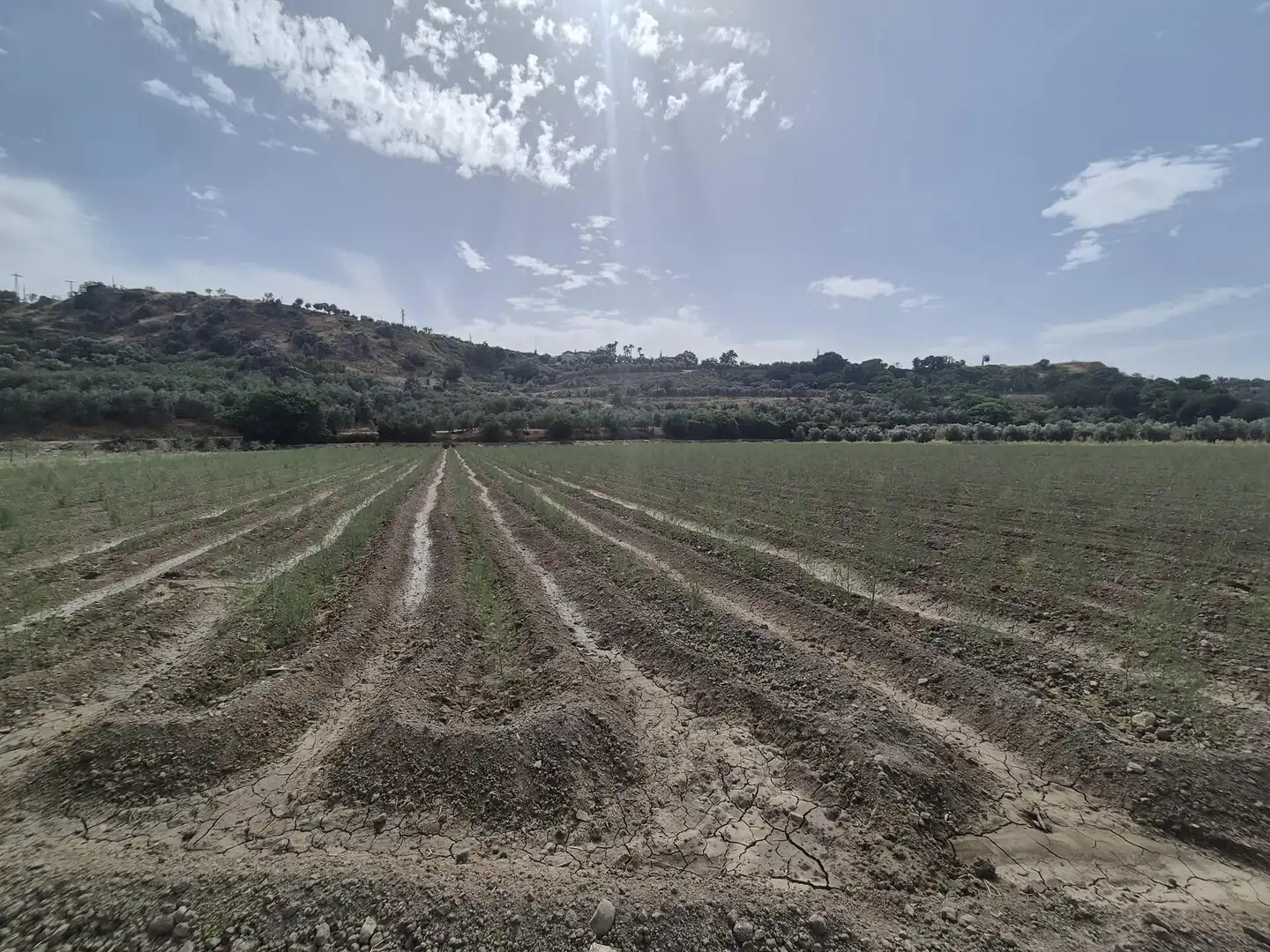 Terrain résidentiel à vendre à Loja, imagen 7